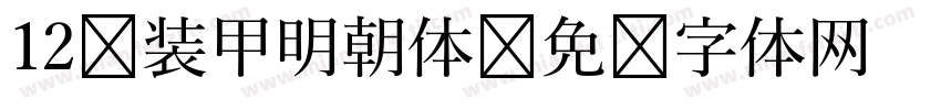 12 装甲明朝体字体转换